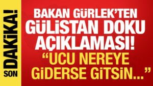 Haber gorseli